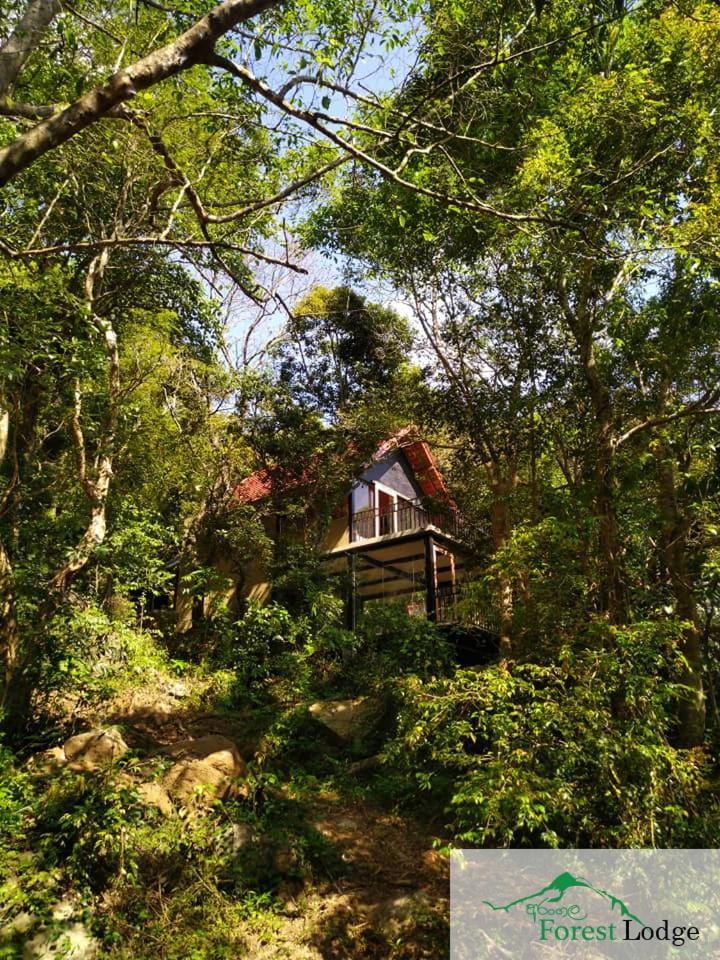 Arangala Forest Lodge Naula Exterior photo